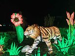 Magische Lichterwelten in Halle (Foto: P.Blei)