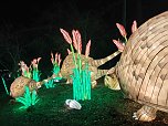 Magische Lichterwelten in Halle (Foto: P.Blei)