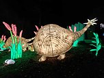 Magische Lichterwelten in Halle (Foto: P.Blei)