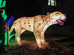 Magische Lichterwelten in Halle (Foto: P.Blei)