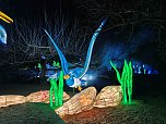 Magische Lichterwelten in Halle (Foto: P.Blei)