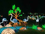 Magische Lichterwelten in Halle (Foto: P.Blei)