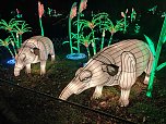 Magische Lichterwelten in Halle (Foto: P.Blei)
