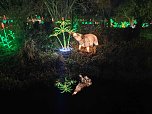 Magische Lichterwelten in Halle (Foto: P.Blei)