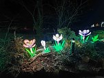 Magische Lichterwelten in Halle (Foto: P.Blei)