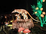 Magische Lichterwelten in Halle (Foto: P.Blei)