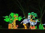 Magische Lichterwelten in Halle (Foto: P.Blei)