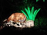 Magische Lichterwelten in Halle (Foto: P.Blei)