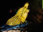 Magische Lichterwelten in Halle (Foto: P.Blei)