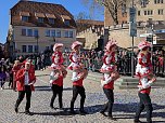 Eindr&uuml;cke vom Rosenmontagsumzug 2025 in Sondershausen (Foto: Janine Skara)