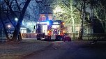 Brand im Schlosspark (Foto: S. Dietzel)