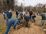 Babybaumaktion in Sondershausen (Foto: Janine Skara)