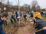 Babybaumaktion in Sondershausen (Foto: Janine Skara)