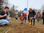 Babybaumaktion in Sondershausen (Foto: Janine Skara)