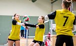 Humboldts Volleyballerinnen triumphierten im Schulamtsfinale (Foto: Christoph Keil) Humboldts Volleyballerinnen triumphierten im Schulamtsfinale (Foto: Christoph Keil)