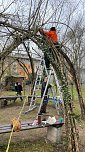 Arbeit am "Gr&uuml;nen Klassenzimmer" des F&ouml;rderzentrums Pestalozzi (Foto: Kerstin Zimmer)