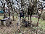 Arbeit am "Gr&uuml;nen Klassenzimmer" des F&ouml;rderzentrums Pestalozzi (Foto: Kerstin Zimmer)