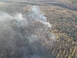 Feuerwehreinsatz unter erschwerten Bedingungen beim Kampfmittelr&auml;umdienst (Foto: S. Dietzel)