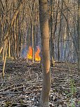 Feuerwehreinsatz unter erschwerten Bedingungen beim Kampfmittelr&auml;umdienst (Foto: S. Dietzel)