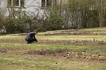 Er&ouml;ffnung des neu gestalteten Nordh&auml;user Ehrenfriedhofs  (Foto: agl)