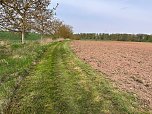 Wanderweg in Ordnung gebracht (Foto: privat)