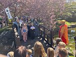 Hanami im Japanischen Garten (Foto: oas)