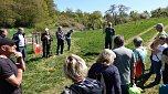 Streuobsttag am Neust&auml;dter Rosenteich (Foto: nnz)