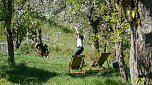 Streuobsttag am Neust&auml;dter Rosenteich (Foto: nnz)