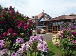 Rhododendronfest in S&uuml;lzhayn (Foto: Janet Lie&szlig;mann)