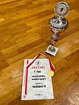Handballjugend am Wochenende (Foto: NSV)