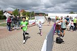Auf der Zielgerade beim 11. Harztorlauf (Foto: agl)
