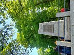 Ma&szlig;nahmen zur Aufwertung des Rieseningers &ouml;ffentlich vorgestellt (Foto: Stadt M&uuml;hlhausen)