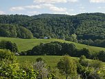 S&uuml;lzhayn im Mai (Foto: I.Kalbitz)