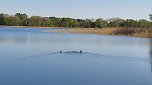 M&ouml;ssensee im Mecklenburg-Vorpommern (Foto: Sabine Schr&ouml;der)