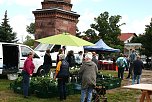 Maibauernmarkt in Kelbra (Foto: Ulrich Reinboth)