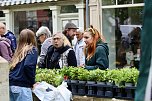 Das "Gr&uuml;ne Innenstadtfest" von Bad Langensalza  (Foto: Eva Maria Wiegand)