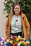Das "Gr&uuml;ne Innenstadtfest" von Bad Langensalza  (Foto: Eva Maria Wiegand)