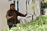 Das "Gr&uuml;ne Innenstadtfest" von Bad Langensalza  (Foto: Eva Maria Wiegand)
