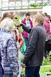 Das "Gr&uuml;ne Innenstadtfest" von Bad Langensalza  (Foto: Eva Maria Wiegand)