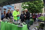 Das "Gr&uuml;ne Innenstadtfest" von Bad Langensalza  (Foto: Eva Maria Wiegand)