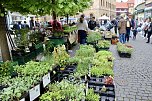 Das "Gr&uuml;ne Innenstadtfest" von Bad Langensalza  (Foto: Eva Maria Wiegand)