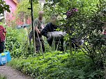 Krokodile und Schlagen in Obhut genommen (Foto: S. Dietzel)