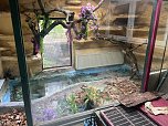 Krokodile und Schlagen in Obhut genommen (Foto: S. Dietzel)