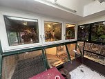 Krokodile und Schlagen in Obhut genommen (Foto: S. Dietzel)