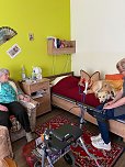 Gemeinsames Zuhause von Bewohner und Tier - in Werther gibt es jetzt einen Therapiehund (Foto: Landhaus am Schlosspark)