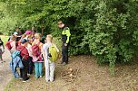Waldjugendspiele 2025 im Park Hohenrode (Foto: agl)