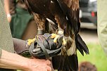 Waldjugendspiele 2025 im Park Hohenrode (Foto: agl)