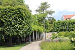 Rosenpracht in Rosengarten in Bad Langensalza (Foto: Eva Maria Wiegand)
