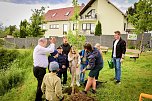 Kommunionskinder pflanzen Erinnerungsbaum (Foto: Stadt Leinefelde-Worbis)