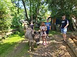 Kinder- und Familienfest in Rodishain  (Foto: Cornelia Wilhelm )